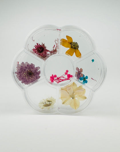 Flores secas - Bloom