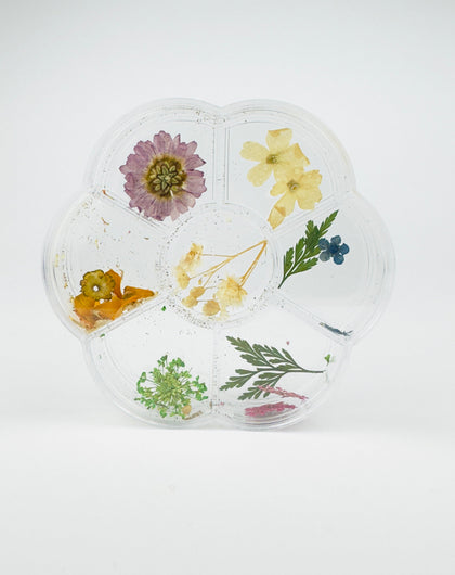 Flores secas - Garden