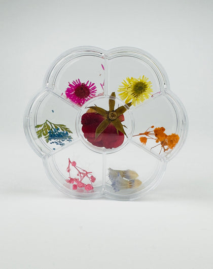 Flores secas - Blossom