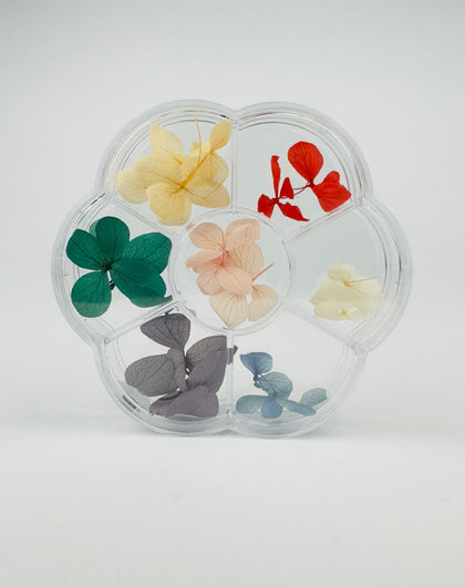 Flores secas - Summer