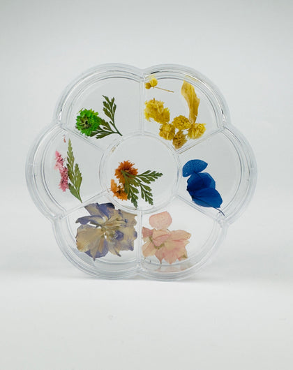 Flores secas - Field